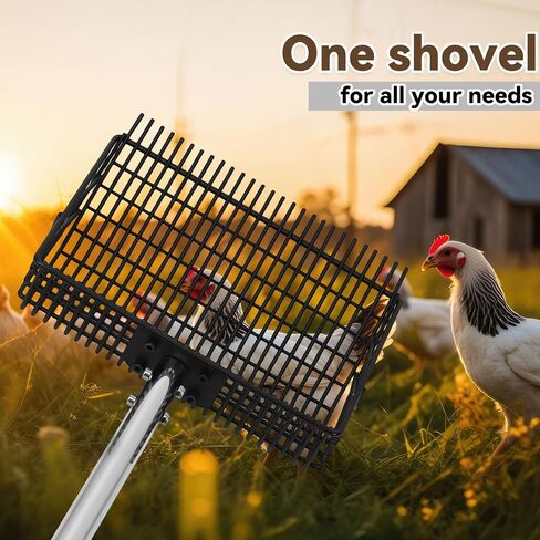 2 in 1 Chicken Poop Scooper Rake , 2 Rakes and 4 Sections Adjustable Stainless Steel Handle 37.4 - 68.9 Inch, Litter Scoop Chicken Coop Scoop for Animal Farm and Poultry Habitats with Gloves in Saudi Arabia