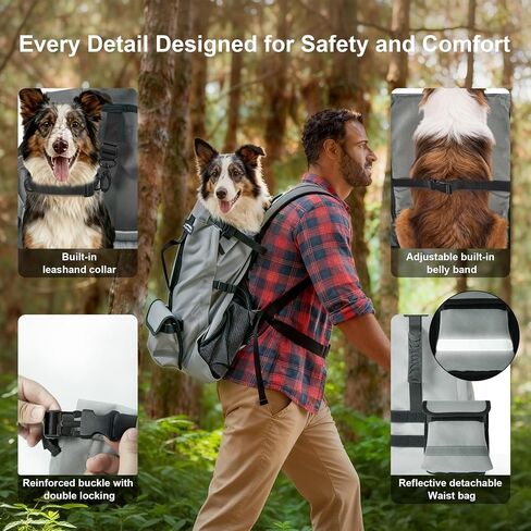 Dog Backpack Carrier, Ergonomic Pet Travel Bag, Suitable for Medium and Large Dogs, Built-in Leash and Adjustable Buckle, Ideal for Hiking and Cycling, M in Saudi Arabia