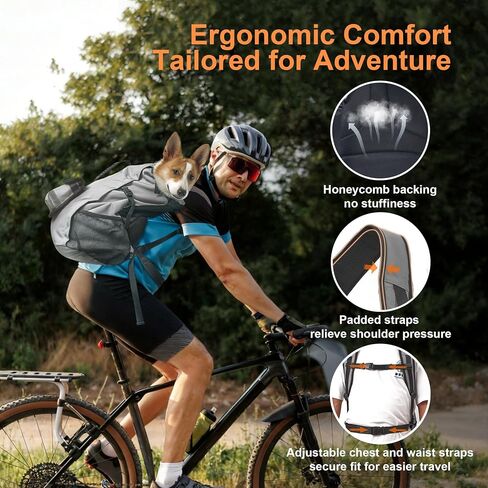Dog Backpack Carrier, Ergonomic Pet Travel Bag, Suitable for Medium and Large Dogs, Built-in Leash and Adjustable Buckle, Ideal for Hiking and Cycling, M in Saudi Arabia