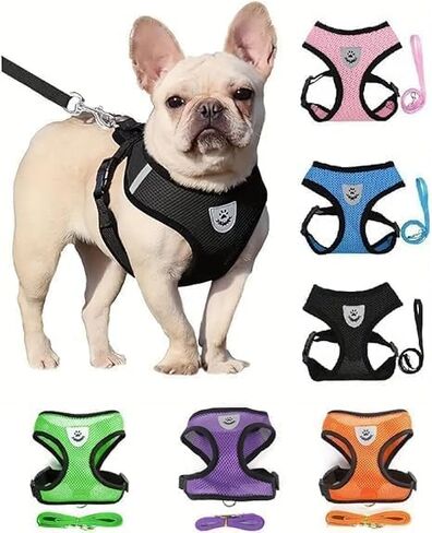 Small Cat Dog Harness - All Weather Mesh, Reflective, 4 Ft Traction Rope，No Pull Harness for Small Dogs, Cats - Secure with Hook & Loop Fastener, Buckle, Double D-Rings,XL,Red in Saudi Arabia