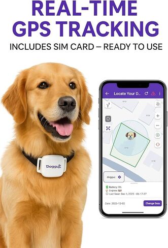 جهاز تعقب GPS ذكي للكلاب - جهاز GPS مقاوم للماء للحيوانات الأليفة مع تتبع في الوقت الفعلي ومناطق آمنة - يتضمن شريحة بيانات - الإصدار الأسود in Kuwait