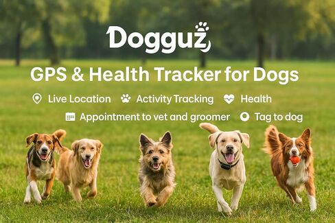 جهاز تعقب GPS ذكي للكلاب - جهاز GPS مقاوم للماء للحيوانات الأليفة مع تتبع في الوقت الفعلي ومناطق آمنة - يتضمن شريحة بيانات - الإصدار الأسود in Kuwait