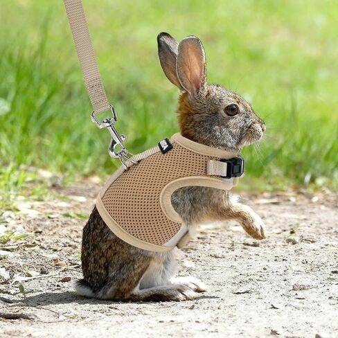 AIITLE Breathable Bunny Harness and Leash Set, Adjustable Straps & Magic Tape Design, Comfort Fit Vest for Puppies, Cats, Squirrels, Rats, Bunnies, Ferrets, Outdoor Walking, Purple S in Saudi Arabia
