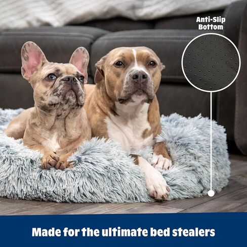 Barkbox Dog Bed, 2-in-1 Memory Foam Donut Cuddler Dog and Cat Bed, Calming Orthopedic Joint Relief Fur Crate Lounger for Pets, Machine Washable + Removable Cover, Waterproof Lining, Includes Toy in Saudi Arabia