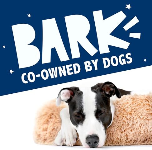 Barkbox Dog Bed, 2-in-1 Memory Foam Donut Cuddler Dog and Cat Bed, Calming Orthopedic Joint Relief Fur Crate Lounger for Pets, Machine Washable + Removable Cover, Waterproof Lining, Includes Toy in Saudi Arabia