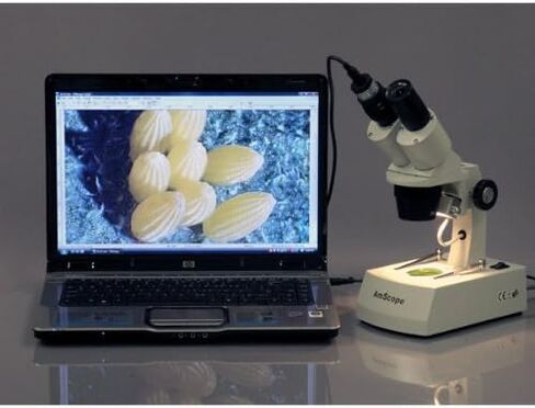 AmScope 3.0 Mega Pixel USB Still Photo & Live Video Microscope Imager Digital Camera 3MP,MD300 in Saudi Arabia