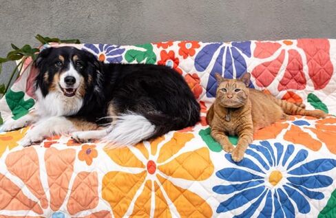 Waterproof Blanket, 60"x70" - Large Couch Cover for Dogs and Pets - Ideal for Picnics, Outdoor, Camping, Beach and More - Large, Washable Protector in Saudi Arabia