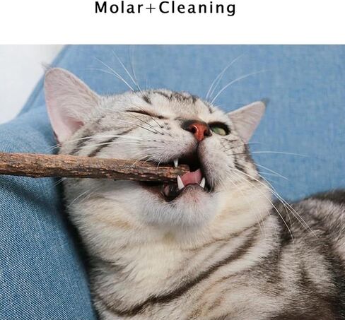 33 Pcs Cat Toys Silicone Shark Chew Toys for Teething Kittens & 100% Natural Silvervine Sticks - Dental Health Chews, Catnip Alternative for Boredom Relief, Interactive Treat Dispenser Puzzle Feeder in Saudi Arabia