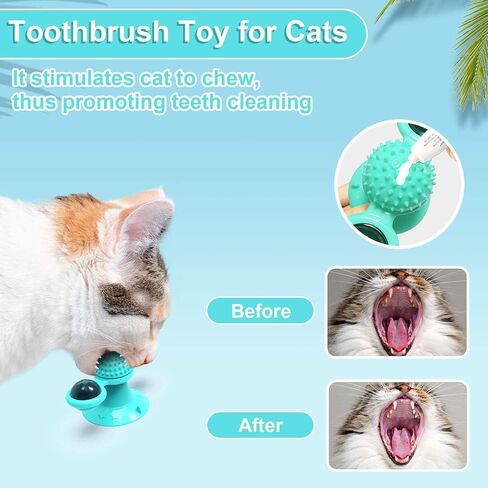 Interactive Windmill Cat Toys with Catnip : Cat Toys for Indoor Cats Funny Kitten Toys with LED Light Ball Suction Cup‖Cat Nip Toy for Cat chew Exercise in Saudi Arabia