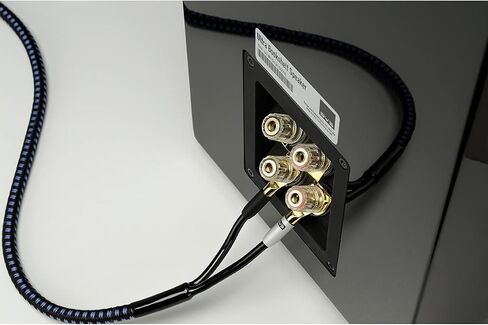 SVS 6 Foot Speaker Cable Banana - Each in Saudi Arabia