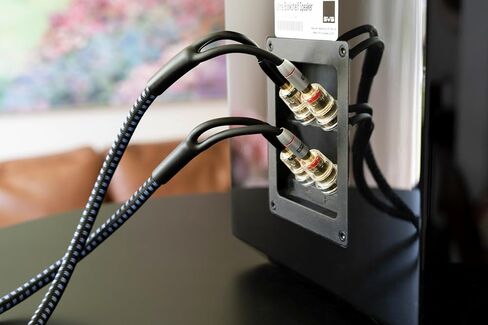 SVS 6 Foot Speaker Cable Banana - Each in Saudi Arabia