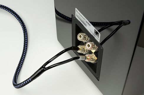 SVS 6 Foot Speaker Cable Banana - Each in Saudi Arabia