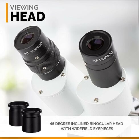 AmScope SE400-XYZ Professional Binocular Stereo Microscope, WF5x/WF10x/WF15x/WF20x Eyepieces, 5X/10X/15X/20X Magnifications, 1X Objective, LED Lighting, Boom-Arm Stand, 110V-120V in Saudi Arabia