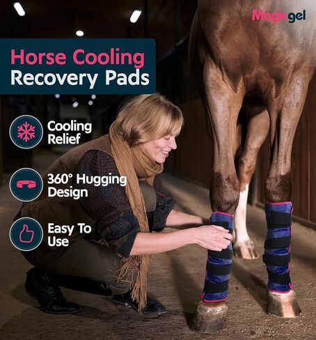 Magic Gel Horse Ice Pack with Carry Case - Twin Ice Boots | Cooling Horse Leg Wraps for Hock, Ankle, Knee, Legs, Boots, and Hooves | Horse Tack, Horse Supplies & Horse Gift Ideas for Horse Lovers in Saudi Arabia