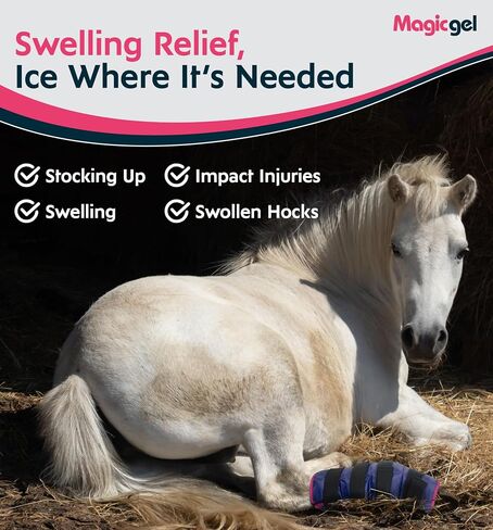 Magic Gel Horse Ice Pack with Carry Case - Twin Ice Boots | Cooling Horse Leg Wraps for Hock, Ankle, Knee, Legs, Boots, and Hooves | Horse Tack, Horse Supplies & Horse Gift Ideas for Horse Lovers in Saudi Arabia