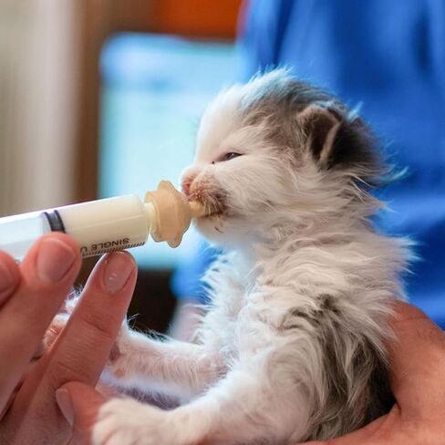 Pet Feeding Set-10 Pcs Silicone Feeding Nursing Nipple and 1ML/5ML/10ML Feeding Syringe, Pet Nursing Feeding Tools for Kittens Puppies Newborn Animals (1ml+5ml+10ml+10 Nipple) in Kuwait