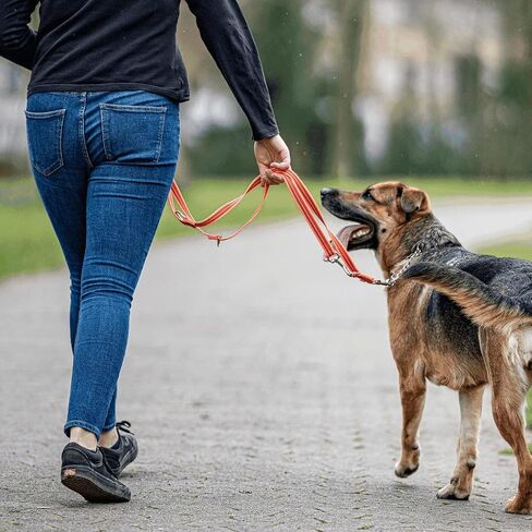 Herm Sprenger Adjustable Dog Training Leash | Secure & Non-Slip Rubberized Nylon Grip Hands Free Dog Leash | Durable Quality ¾" Thick Reflective Dog Training Leash (4FT - 7.5 FT Length) (Black) in Saudi Arabia