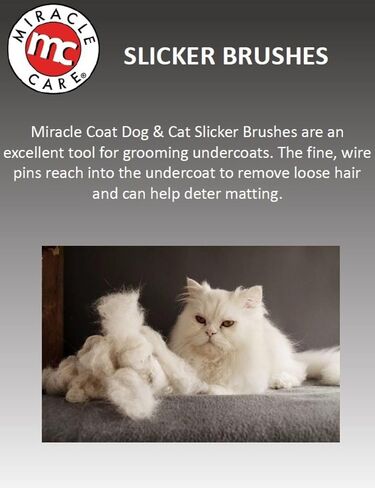 Miracle Care Large Slicker Brush for Large Dogs in Kuwait
