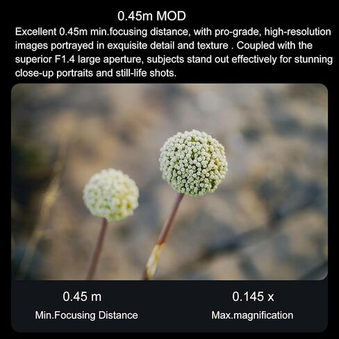 فيلتروكس عدسة برايم باطار كامل بتركيز تلقائي مقاس 35 ملم f/1.8 F1.8 STM لسوني FE-Mount A7II A7III A7RIII A7SIII A7II A7RIV A9 A6600 A6500 A6400 A6300 A6100 A6000 A5100 7III A7III A7RIII A7RIV A7SIII in Saudi Arabia