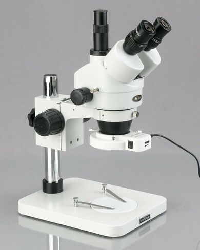 AmScope SM-1TSZZ-144S-10M مجهر تكبير ستيريو ثلاثي العينيات رقمي احترافي، عدسات WH10x وWH20x، تكبير 3.5X-180X، هدف تكبير 0.7X-4.5X، ضوء حلقة LED 144 لمبة، حامل عمود، 110 فولت - 240 فولت، يتضمن 0.5 عدسات بارلو X و2.0X ودقة 10 ميجابكسل in Saudi Arabia