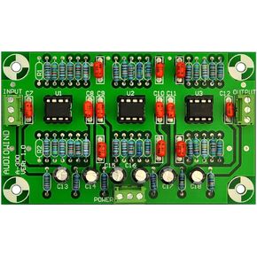 Electronics-Salon A-300 Stereo Phono RIAA Preamplifier Preamp Module (for MC Pickup)