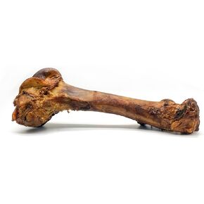 Green Woof, Monster Jumbo Dog Bone, Large Dog Bone Treat - Dental Health-Enhancing Chew - Single-Source, 100% Grass-Fed Beef Femur Bone for Canines