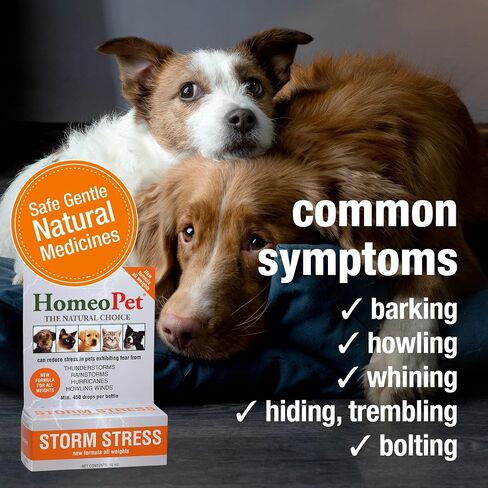 HomeoPet Storm Stress, Storm Anxiety Relief for Dogs, Cats, and Other Small Animals, 15 Milliliters in Saudi Arabia