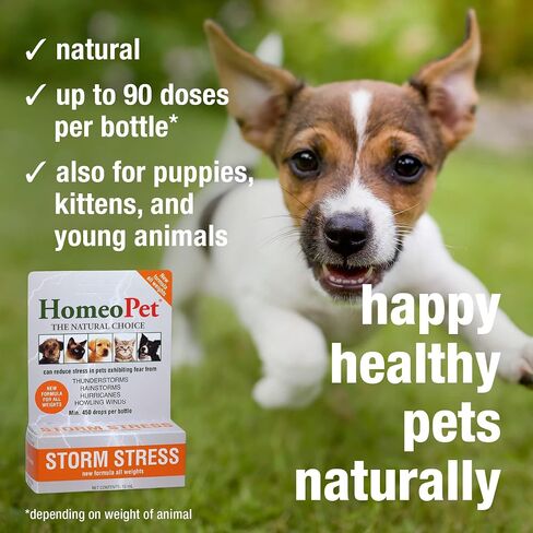 HomeoPet Storm Stress, Storm Anxiety Relief for Dogs, Cats, and Other Small Animals, 15 Milliliters in Saudi Arabia