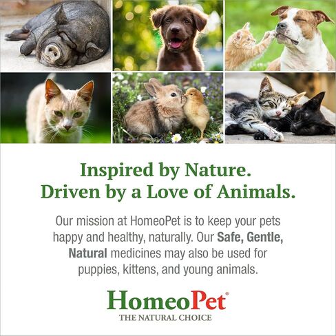 HomeoPet Storm Stress, Storm Anxiety Relief for Dogs, Cats, and Other Small Animals, 15 Milliliters in Saudi Arabia