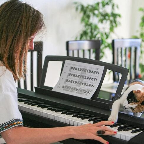 حامل الموسيقى الكبير الأصلي من كونبر. متوافق مع حامل نقاط موسيقى لوحة المفاتيح من سلسلة Yamaha PSR/YPT/KB/P/DGX، وحامل الموسيقى ورقة لوحة المفاتيح مع مشبكين لكتاب الموسيقى in Kuwait
