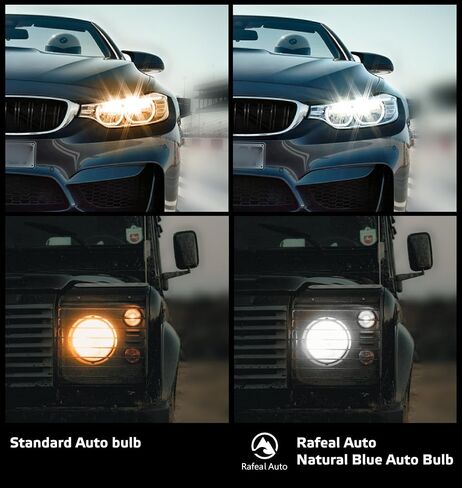 Rafeal Auto 3156 لمبة إضاءة 10 عبوات، 3156 ضوء فرامل السيارات بدوره 3156 لمبة مصغرة لمبة صغيرة ضوء خلفي بدوره إشارة الضوء، بديل للسيارات والشاحنات وسيارات الدفع الرباعي in Kuwait