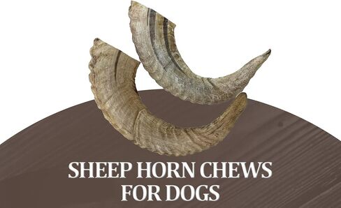 WhiteTail Naturals - Lamb Horns for Dogs (2 Pack- Small) Long Lasting Dog Chews - Grain Free Chew Bone - Natural Sheep Horn Treat - Tough Chew Toy for Medium Breeds and Teething Puppies. in Kuwait