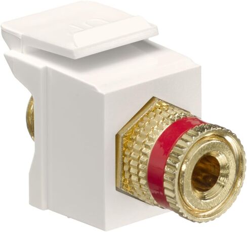 Leviton 40833-BEE QuickPort Binding Post Adapter with Black Stripe, Black in Kuwait