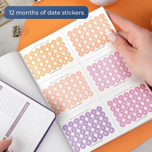 مجموعة ملصقات اللياقة البدنية Clever Fox Planner - ملصقات مخططة شهرية وأسبوعية ويومية مكونة من 16 ورقة مجموعة مكونة من 841+ ملصقًا فريدًا (اللياقة البدنية والتغذية) in Kuwait