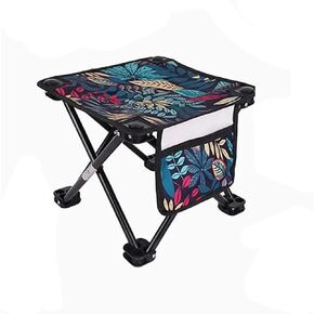 Portable Folding Camping Stool, 13.5 Inch Height, with Carry Bag, for Outdoor, Beach, Hiking, Fishing (Black) in Saudi Arabia