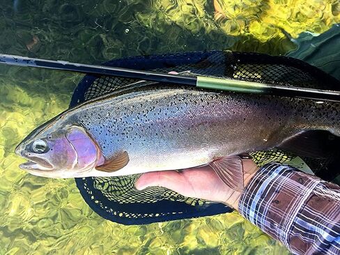 DRAGONtail Tenkara Hellbender Zoom 13' / 11.3' صنارة صيد السمك Tenkara Fly in Kuwait