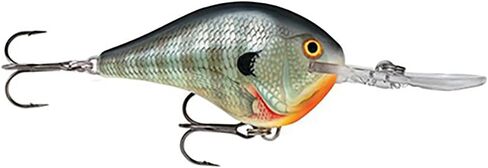Rapala Dives-To 10 Fishing lure, 2.25-Inch, Baby Bass in Saudi Arabia