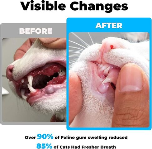 العناية بأسنان القطط - علاج التهاب اللثة - يخفف من رائحة الفم الكريهة، ويدعم الأسنان واللثة والفم والهضم، ويزيل البلاك، ويتحكم في الجير، ويعزز صحة فم القطط، مستخلصات طبيعية، مسحوق 2.11 أونصة in Kuwait