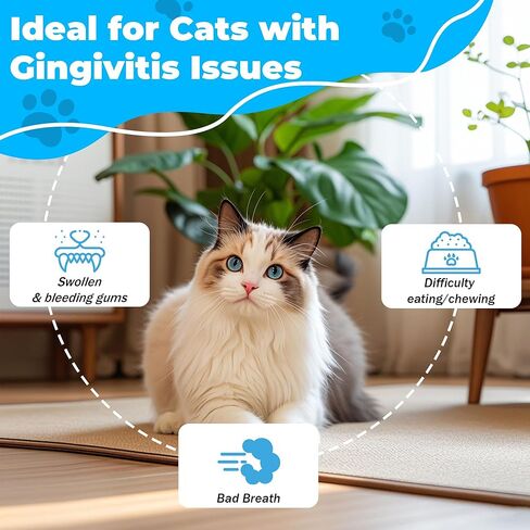 العناية بأسنان القطط - علاج التهاب اللثة - يخفف من رائحة الفم الكريهة، ويدعم الأسنان واللثة والفم والهضم، ويزيل البلاك، ويتحكم في الجير، ويعزز صحة فم القطط، مستخلصات طبيعية، مسحوق 2.11 أونصة in Kuwait