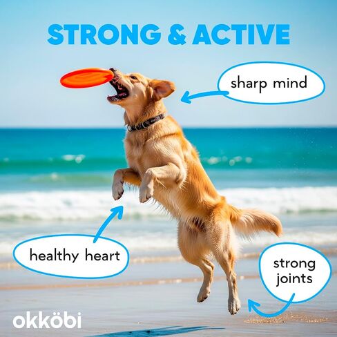 Wild Alaskan Salmon Oil for Dogs & Cats - Pure Fish Oil for Dogs with Omega 3, EPA & DHA Supplements for Skin & Coat, Heart & Immune System, Joint and Brain Support - 8.5 oz in Saudi Arabia