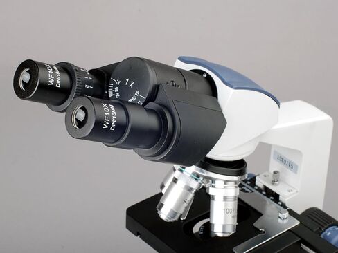 AmScope B120B Siedentopf Binocular Compound Microscope, 40X-2000X Magnification, Brightfield, LED Illumination, Abbe Condenser, Double-Layer Mechanical Stage in Saudi Arabia