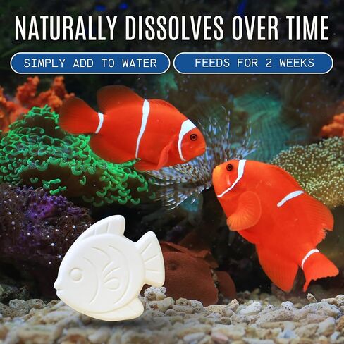 وحدة تغذية العطلات لحوض السمك - كتلة تغذية لمدة 14 يومًا - طعام أسماك بطيء الإطلاق لسمك البيتا والسمك الذهبي والأسماك الاستوائية - طعام خزان الحيوانات الأليفة المائي (عبوة واحدة من كتلتين) in Kuwait