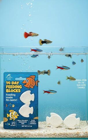 وحدة تغذية العطلات لحوض السمك - كتلة تغذية لمدة 14 يومًا - طعام أسماك بطيء الإطلاق لسمك البيتا والسمك الذهبي والأسماك الاستوائية - طعام خزان الحيوانات الأليفة المائي (عبوة واحدة من كتلتين) in Kuwait