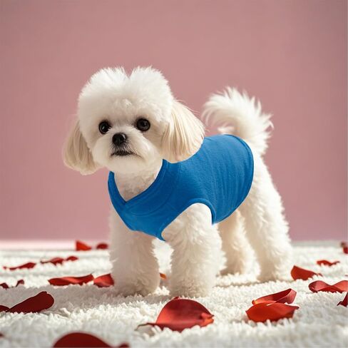 Sucrain Dog Fleece Vest Soft Pet Jacket with Leash O-Ring Winter Warm Pet Pullover Coat for Small Dog(Blue, Medium) in Saudi Arabia