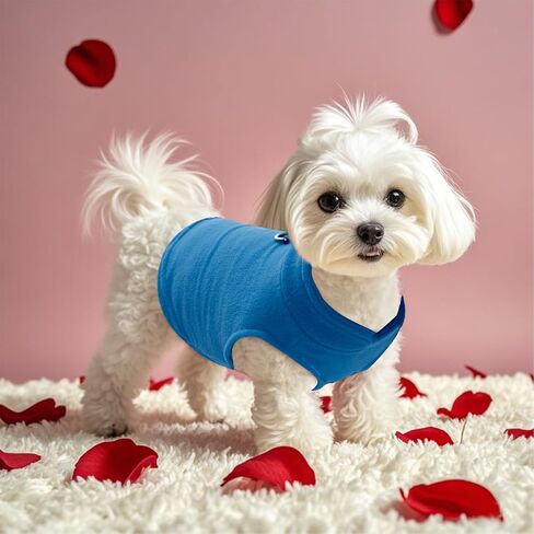 Sucrain Dog Fleece Vest Soft Pet Jacket with Leash O-Ring Winter Warm Pet Pullover Coat for Small Dog(Blue, Medium) in Saudi Arabia