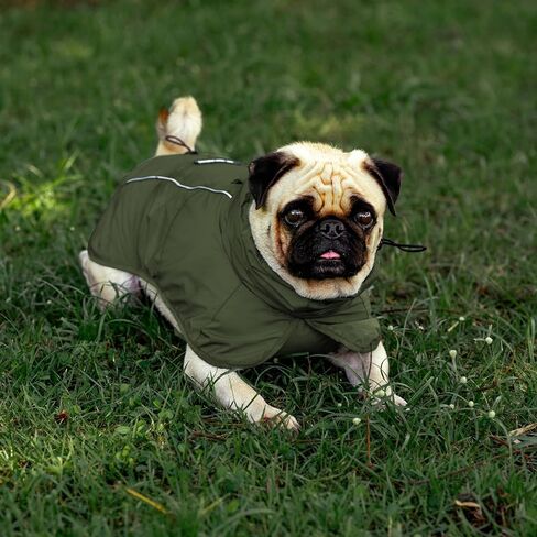 Tuff Pupper Waterproof Dog Raincoat | Full-Body Windproof Rain Jacket for Dogs | Reflective Strips | Breathable Mesh Lining | Adjustable Fit | Leash Port | Small Medium Large XL XXL Dogs (Yellow, M) in Saudi Arabia