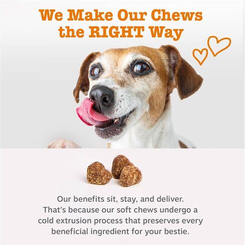 Zesty Paws Dog Multivitamin, Chewable Dog Vitamins and Supplements for Hip & Joints, Skin & Coat, Omega 3 Fish Oil for Dogs- Senior & Puppy Multivitamin- Chicken- 90ct in Kuwait
