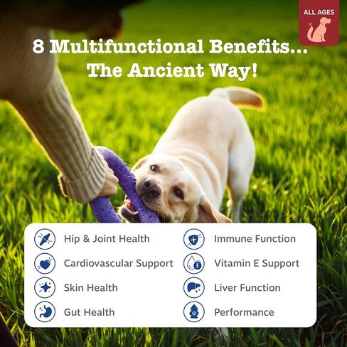 Zesty Paws Dog Multivitamin, Chewable Dog Vitamins and Supplements for Hip & Joints, Skin & Coat, Omega 3 Fish Oil for Dogs- Senior & Puppy Multivitamin- Chicken- 90ct in Kuwait