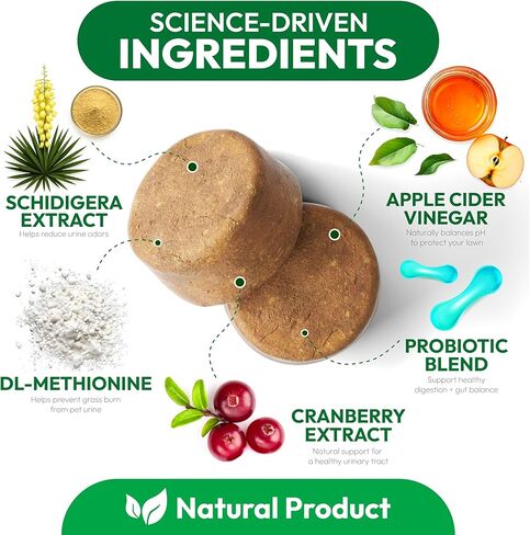 البروبيوتيك للكلاب - 170 مضغ بروبيوتيك للكلاب - الإنزيمات الهضمية والبريبايوتكس - دعم صحة الأمعاء والإسهال والغازات وتخفيف الإمساك - حكة الجلد والحساسية وتوازن الخميرة - مكمل متقدم in Kuwait