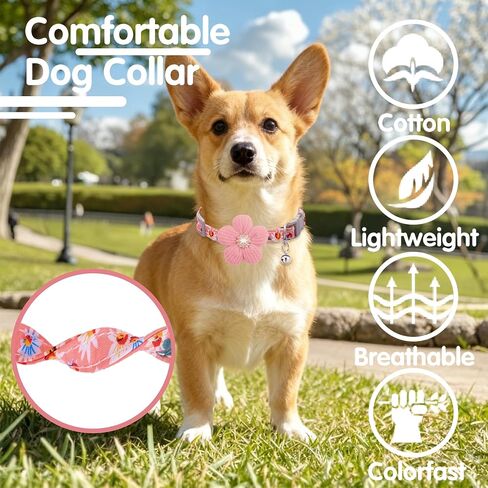 Small Dog Collar with Flower, Puppy Collar for Girl Dog Collars for Small Dogs Cute Dog Collar with Bell, Adjustable Length in Kuwait